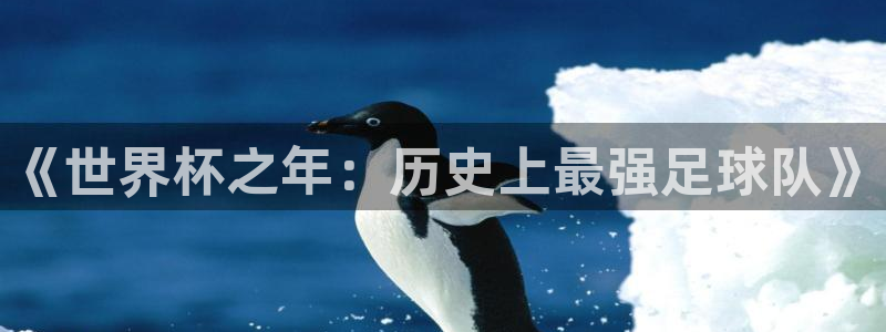 世界杯比赛直播：《世界杯之年：历史上最强足球队》