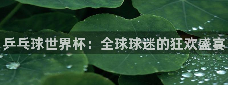 世界杯预选赛直播：乒乓球世界杯：全球球迷的狂欢盛宴