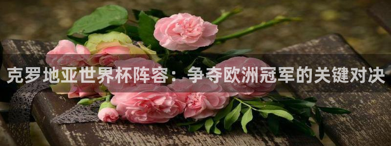 亚洲杯比赛直播：克罗地亚世界杯阵容：争夺欧洲冠军的关键对决