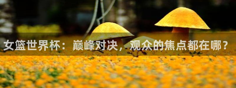 足球世预赛：女篮世界杯：巅峰对决，观众的焦点都在哪？