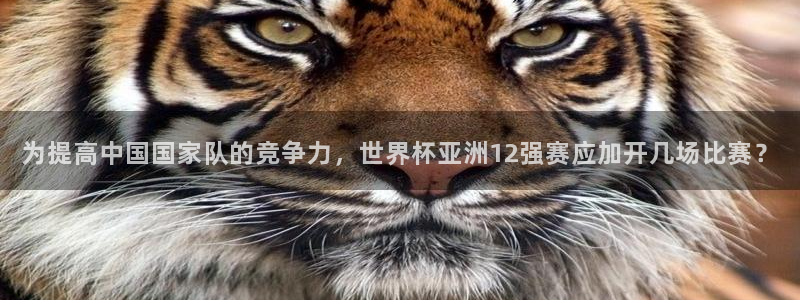 世界杯预选赛欧洲赛区赛程：为提高中国国家队的竞争力，世界杯亚洲12强赛应加开几场比赛？