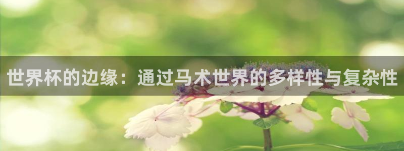 世界杯预选赛赛程表：世界杯的边缘：通过马术世界的多样性与复杂性