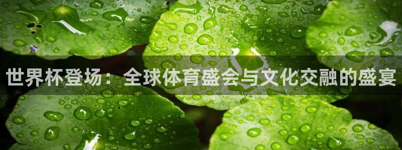 世界杯葡萄牙赛程：世界杯登场：全球体育盛会与文化交融的盛宴