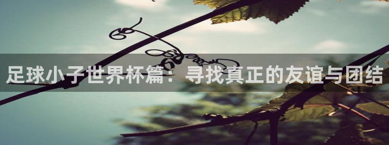 世界杯预选赛亚洲区积分榜：足球小子世界杯篇：寻找真正的友谊与团结