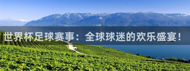 2026世预赛赛程：世界杯足球赛事：全球球迷的欢乐盛宴！