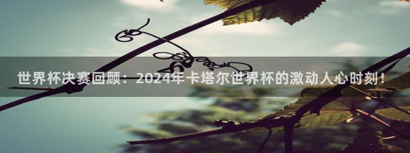 世界杯亚洲区预选赛赛程：世界杯决赛回顾：2024年卡塔尔世界杯的激动人心时刻！