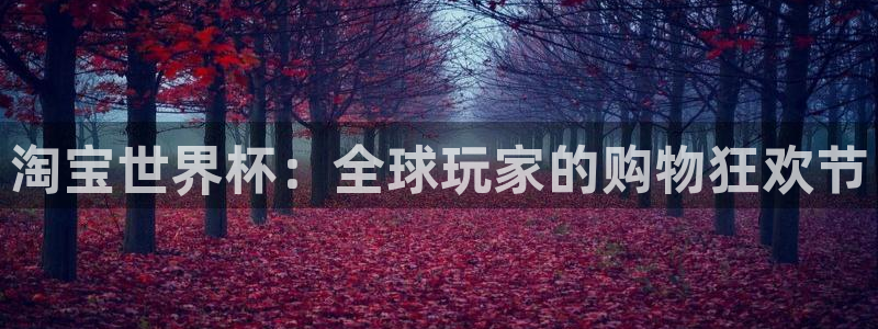 欧洲世界杯预选赛：淘宝世界杯：全球玩家的购物狂欢节
