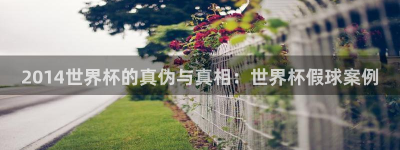 世界杯视频：2014世界杯的真伪与真相：世界杯假球案例