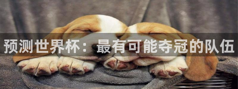 世界杯预选赛欧洲赛区赛程：预测世界杯：最有可能夺冠的队伍