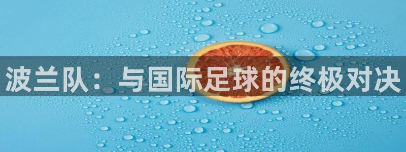 2026世界杯直播：波兰队：与国际足球的终极对决