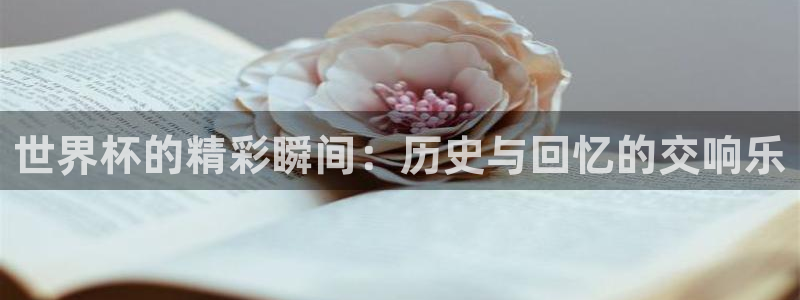 世界杯球赛：世界杯的精彩瞬间：历史与回忆的交响乐